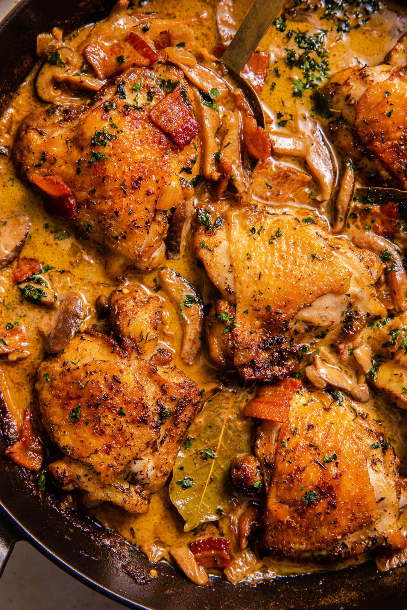 coq au vin blanc（白葡萄酒中的雞肉）