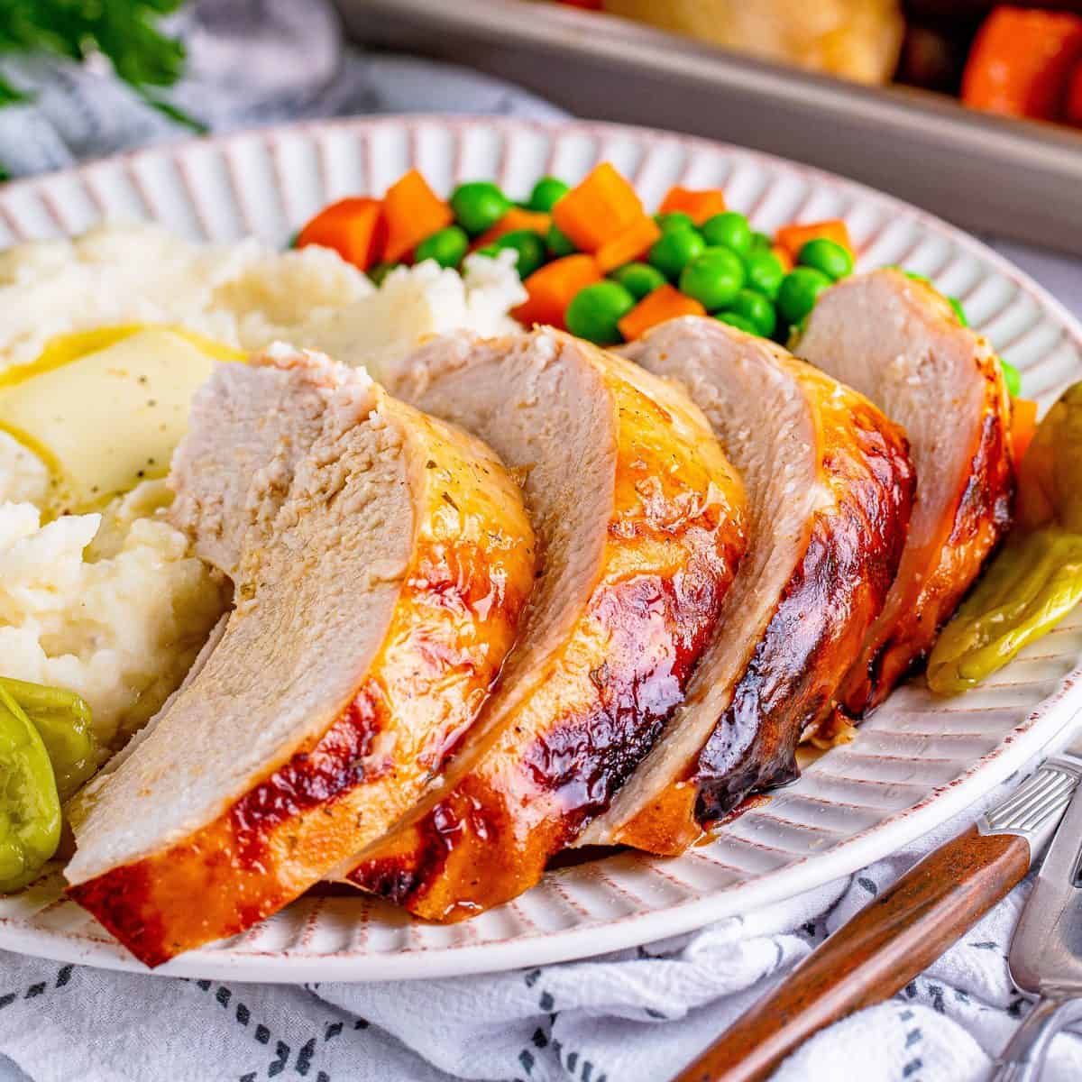 Crock Pot Mississippi土耳其乳房