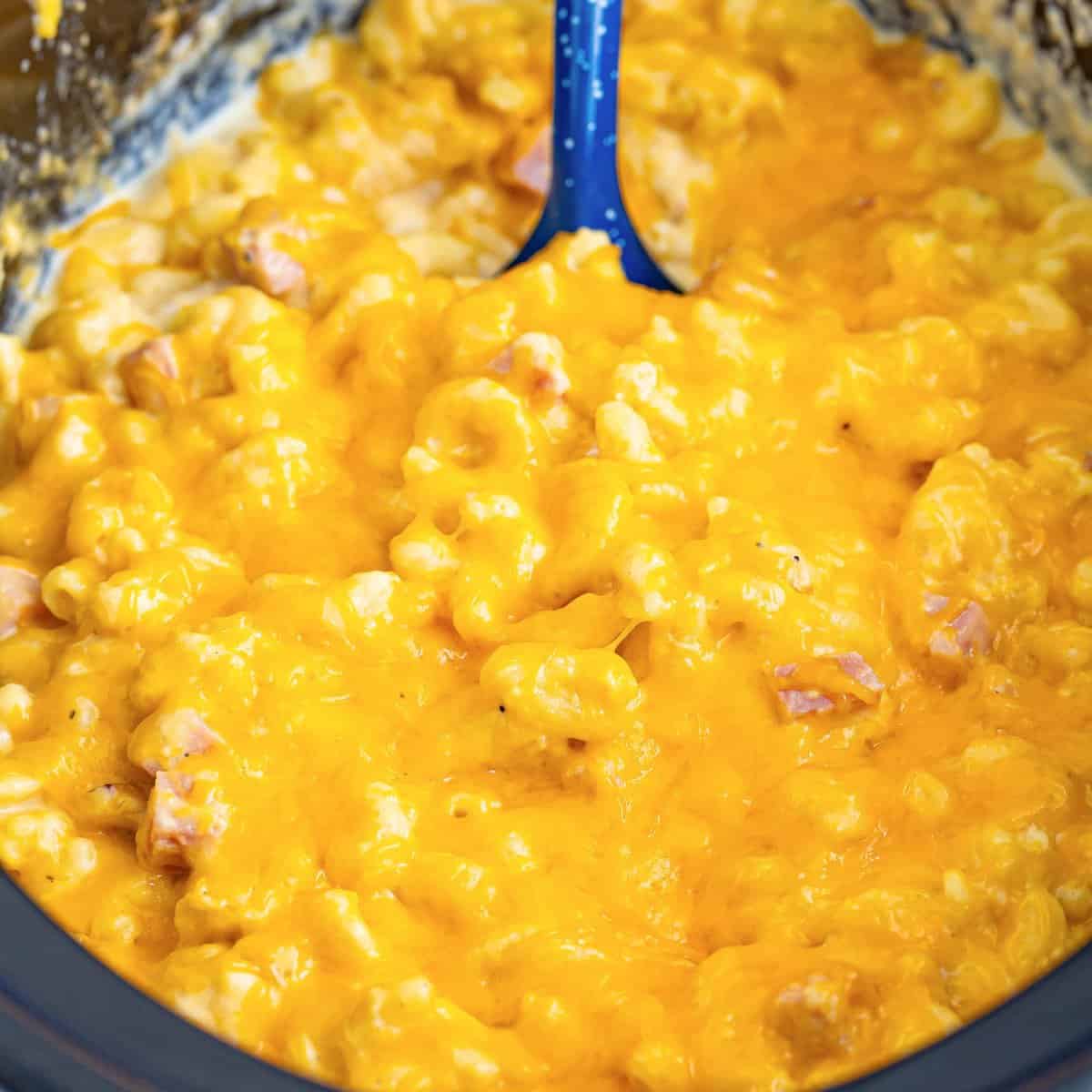 Crock Pot Ham Mac和奶酪